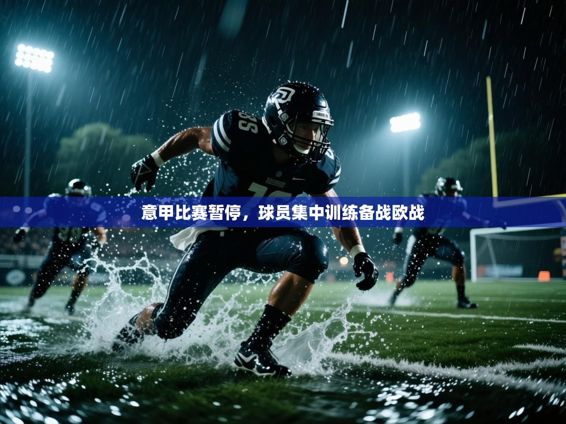 意甲比赛暂停,球员集中训练备战欧战 第1张