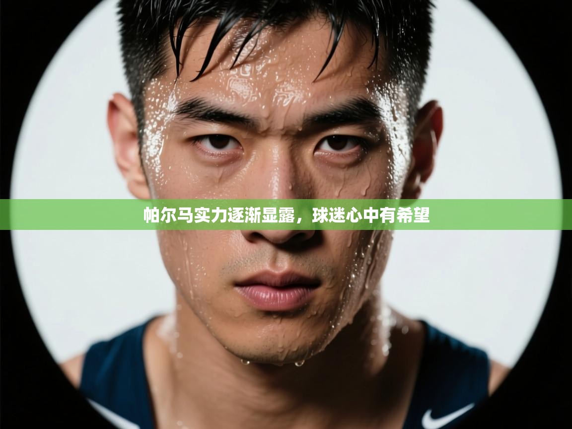 帕尔马实力逐渐显露,球迷心中有希望 第2张