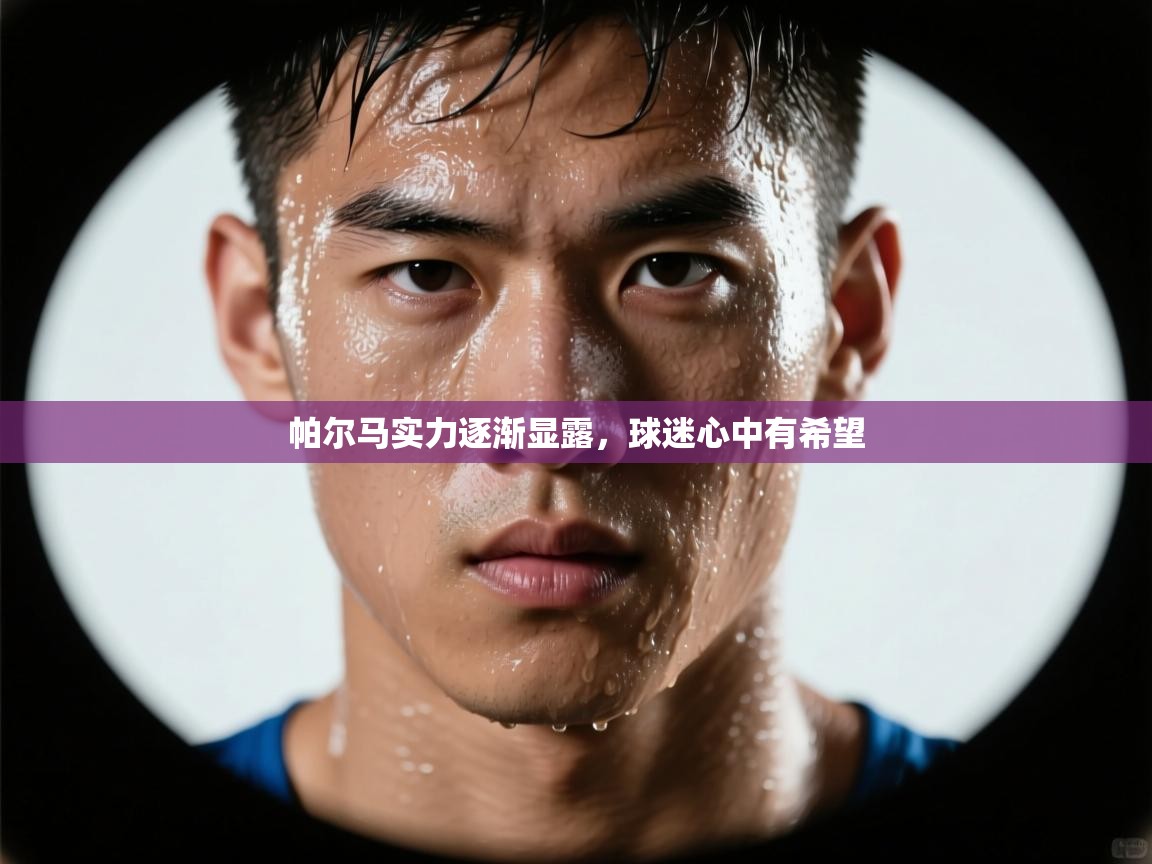 帕尔马实力逐渐显露,球迷心中有希望 第1张