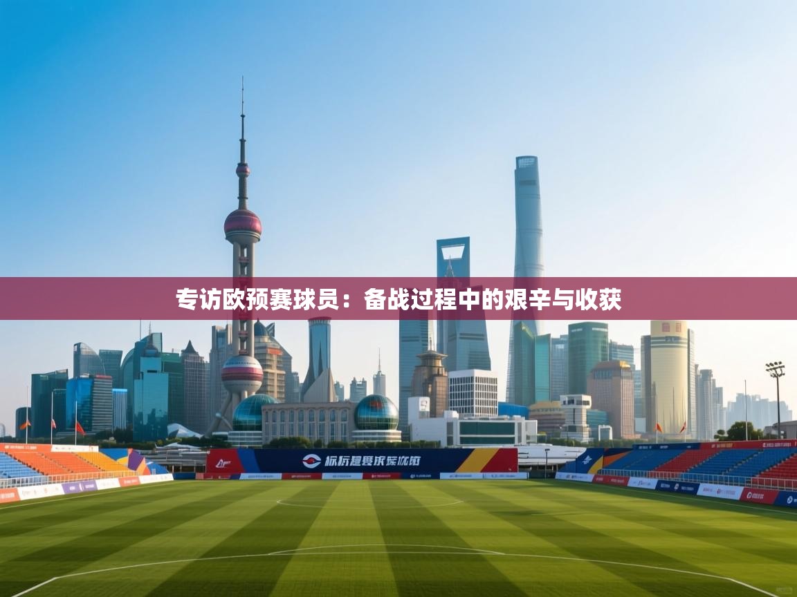 专访欧预赛球员：备战过程中的艰辛与收获  第2张