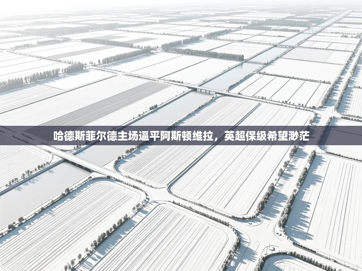 哈德斯菲尔德主场逼平阿斯顿维拉,英超保级希望渺茫 第1张