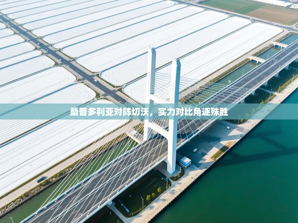 桑普多利亚对阵切沃,实力对比角逐殊胜 第1张